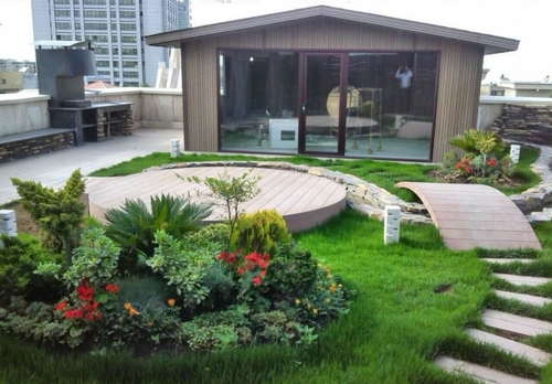 plants-for-roof-gardens