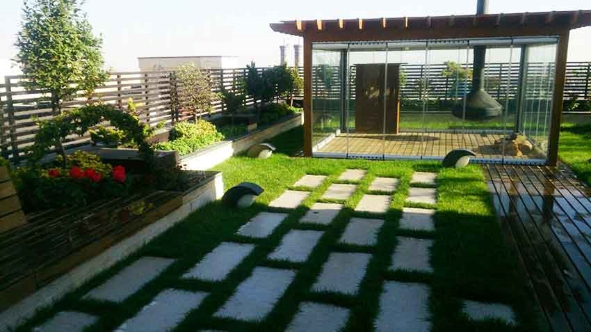 plants-for-roof-gardens