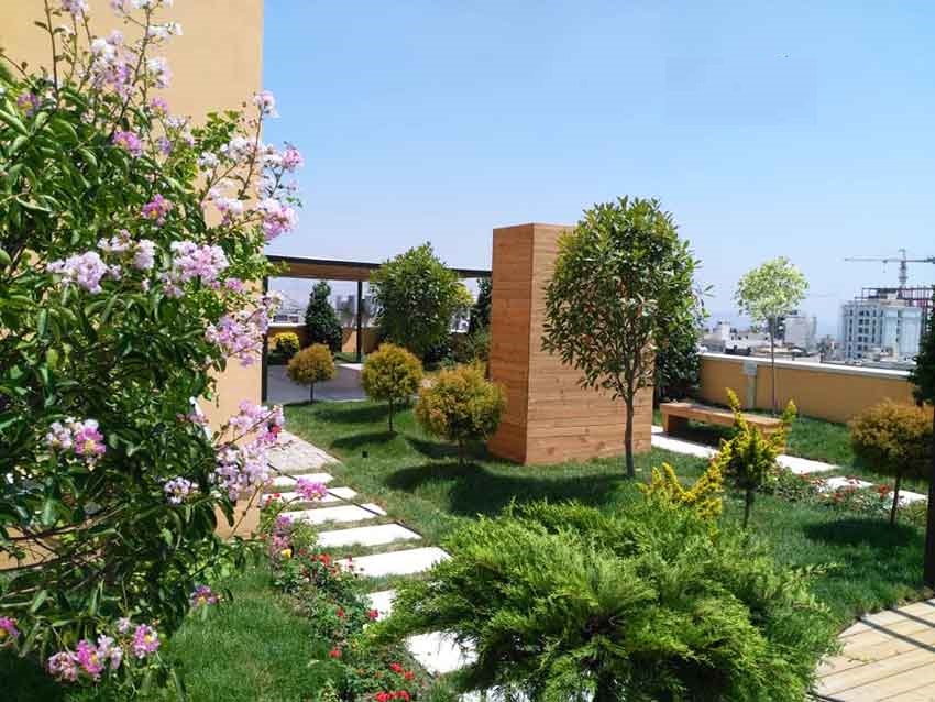plants-for-roof-gardens