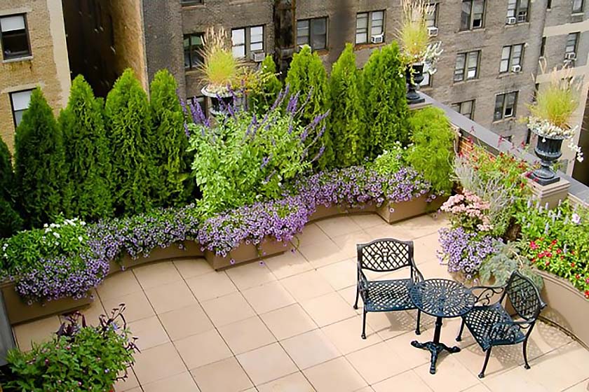 plants-for-roof-gardens