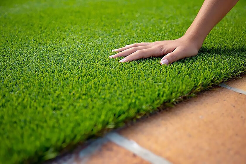 professional-lawn-planting