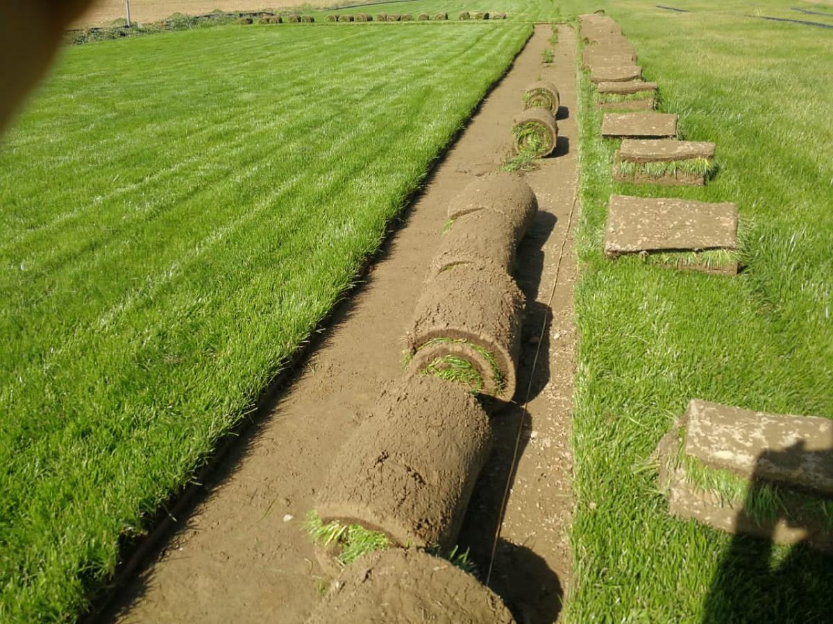sale-and-installation-of-natural-and-rolled-grass