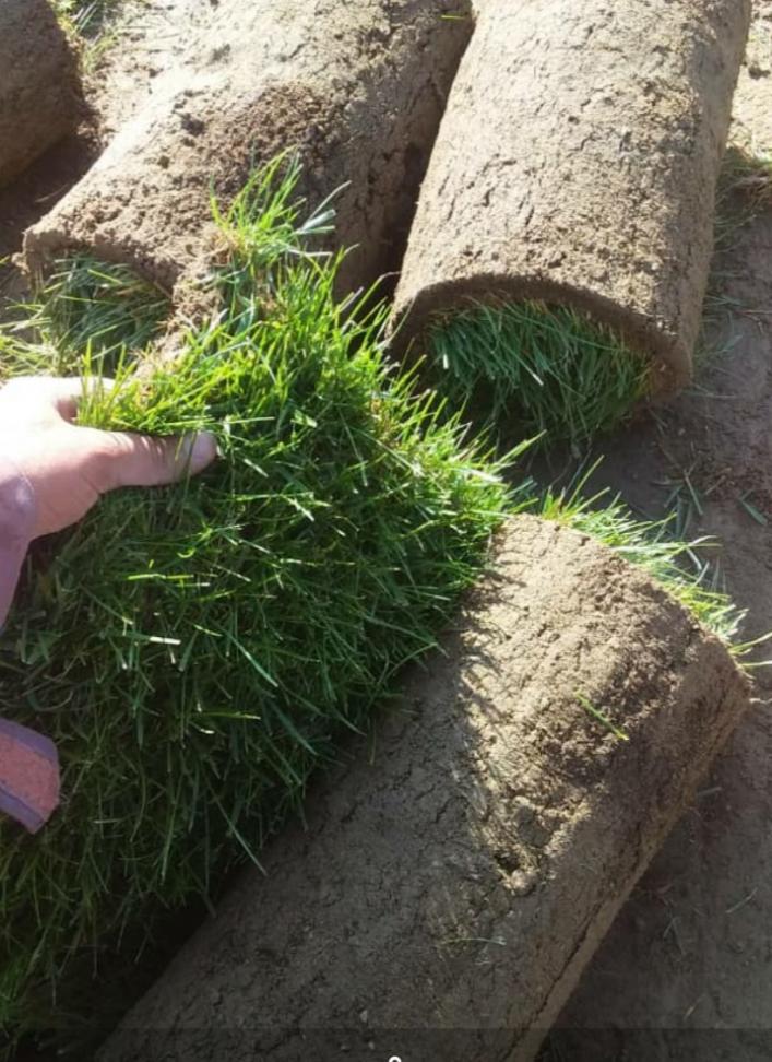 sale-and-installation-of-natural-and-rolled-grass