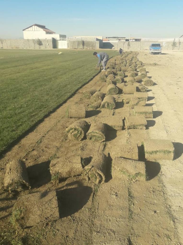sale-and-installation-of-natural-and-rolled-grass