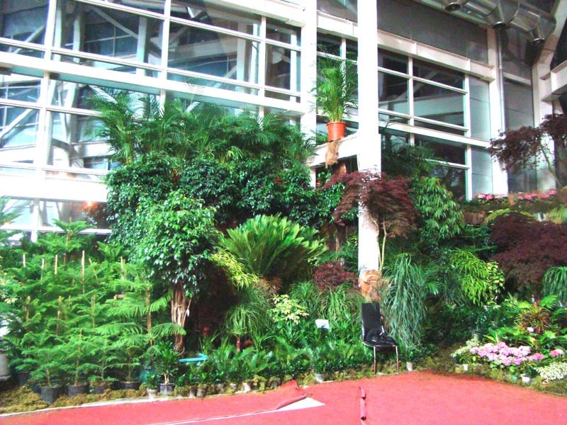 tips-for-maintaining-plants-and-seedlings