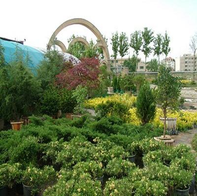 list-of-greenhouses-and-ornamental-plant-producers-in-mazandaran
