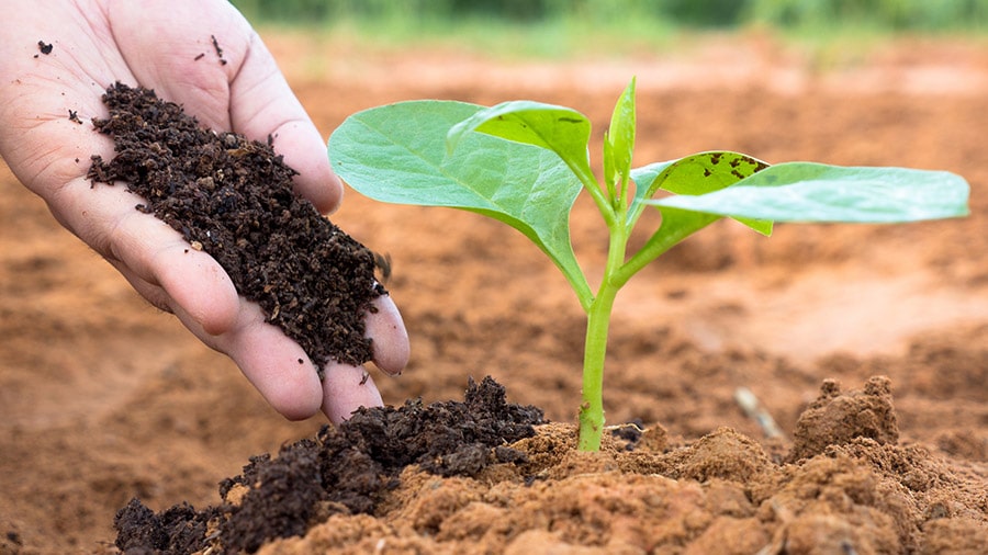 organic-vermicompost-fertilizer