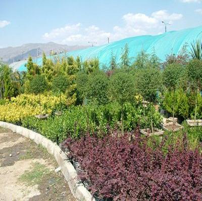 partnership-in-an-ornamental-plant-greenhouse