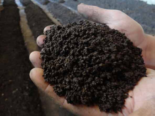 organic-vermicompost-fertilizer